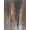 Image 8 : Womens Archers Fur Coat