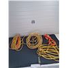 Image 1 : Extension Cord Lot