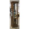 Image 1 : CURIO CABINET, MIRRORED BACK. LIGHTED