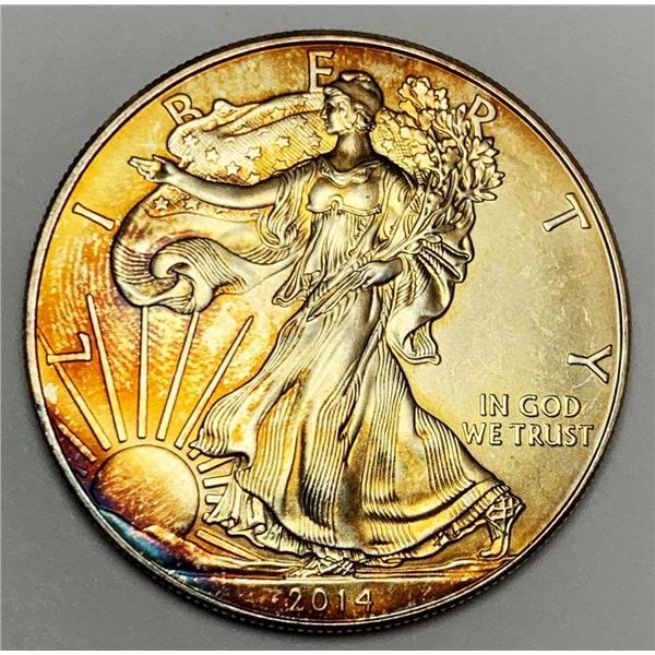 2014 American Silver Eagle