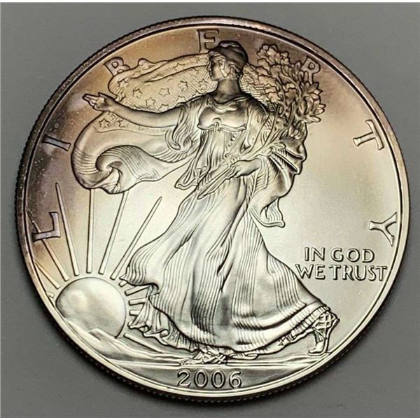 2006 American Silver Eagle