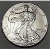 Image 1 : 1999 American Silver Eagle
