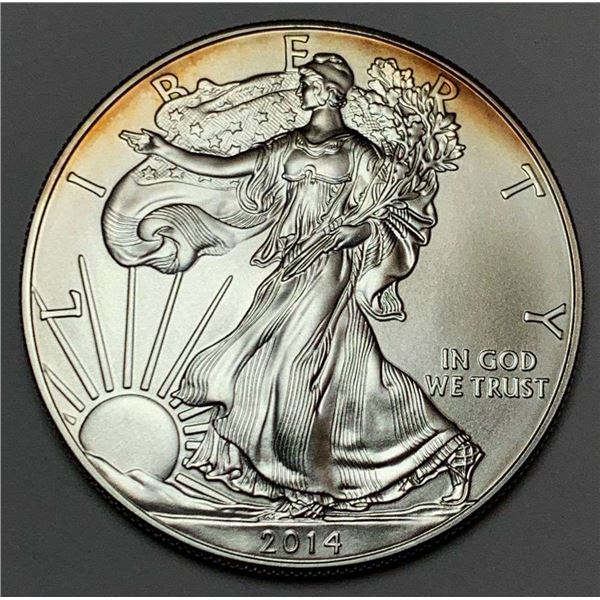 2014 American Silver Eagle