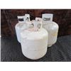 Image 1 : Three 10 LBS Propane Tanks