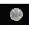 Image 1 : 20 2023 Uncirculated 1 OZ Silver Eagles
