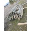 Image 1 : 41 7' Pointed Wood Posts