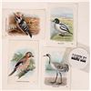 Image 2 : Dutch Bird Themed Trade Cards [176924]