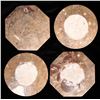 Image 8 : Fossil Dinner Plates, 4 [176460]