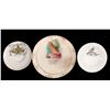 Image 8 : Fresno Souvenir China Collection [177800]