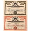 Image 1 : Continental Motors Stocks, 2 Different [177158]