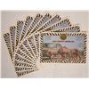 Image 1 : Lion Country Safari Stock Certs (10) [176385]