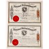 Image 1 : National Storage Stock Pair, 1867 [177483]