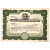 Image 1 : Motion Picture - Stock Cert 1924 [176748]