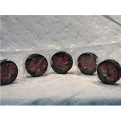 TEAM CDA OLYMPIC SALTLAKE CITY GOLD MEDAL PUCK SET