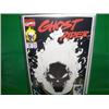 Image 9 : GHOST RIDER 17 COMICS
