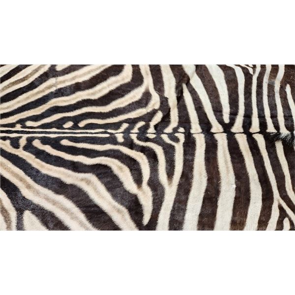 LA-01 JIM HAYES ZEBRA HIDE