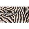 Image 1 : LA-01 JIM HAYES ZEBRA HIDE