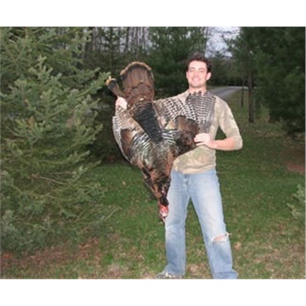LA-07 OHIO TURKEY HUNT FOR 2 HUNTERS