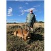 Image 1 : LA-13 JIM HAYES MEMORIAL HUNT EASTERN CAPE SOUTH AFRICA