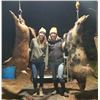 Image 1 : LA-15 THERMAL HOG HUNT FOR 2 HUNTERS
