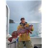 Image 5 : LA-21 BLACK BEAR, DEER, DUCKS FISHING COMBO ALASKAN VESSEL BASED TRIP FOR 4 PEOPLE"