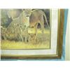 Image 5 : framed print pride of Lions - artist - Dino Pararlcmo ???