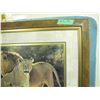 Image 6 : framed print pride of Lions - artist - Dino Pararlcmo ???