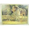 Image 7 : framed print pride of Lions - artist - Dino Pararlcmo ???