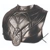 Image 2 : A "John Carter" Helium Soldier Breastplate.