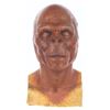 Image 1 : A "Planet of the Apes" 2001 Chimp Paint Test Bust.