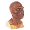 Image 2 : A "Planet of the Apes" 2001 Chimp Paint Test Bust.