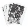 Image 1 : A Set of Jungle Cruise Elephant Animatronic Photos.