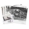 Image 1 : A Set of Jungle Cruise Hippo Animatronic Photos.
