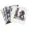 Image 1 : A Set of Jungle Cruise Gorilla Animatronic Photos.