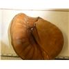 Image 5 : 2 baseball Catchers Mitts