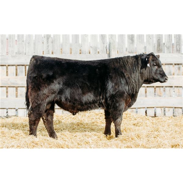 RCR BLASTER 100M - OUT