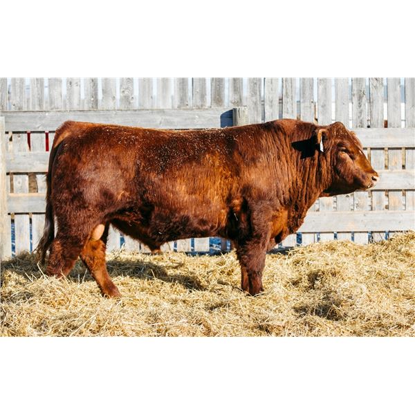 RED RCR CRAFTSMAN 52L