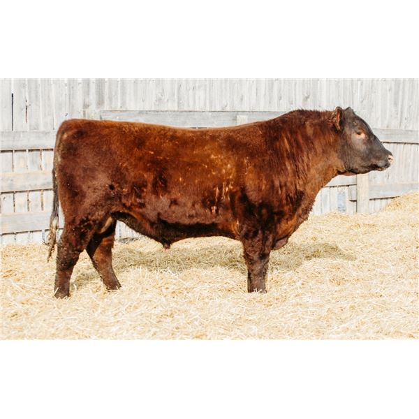 RED RCR CRAFTSMAN 80L