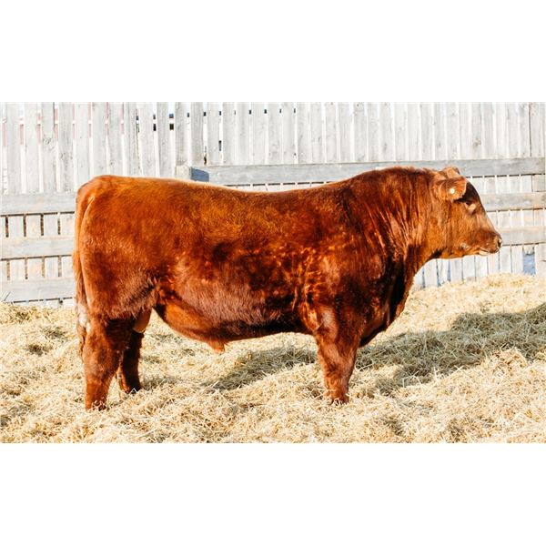 RED MCRAE’S NAVIGATOR 3042L