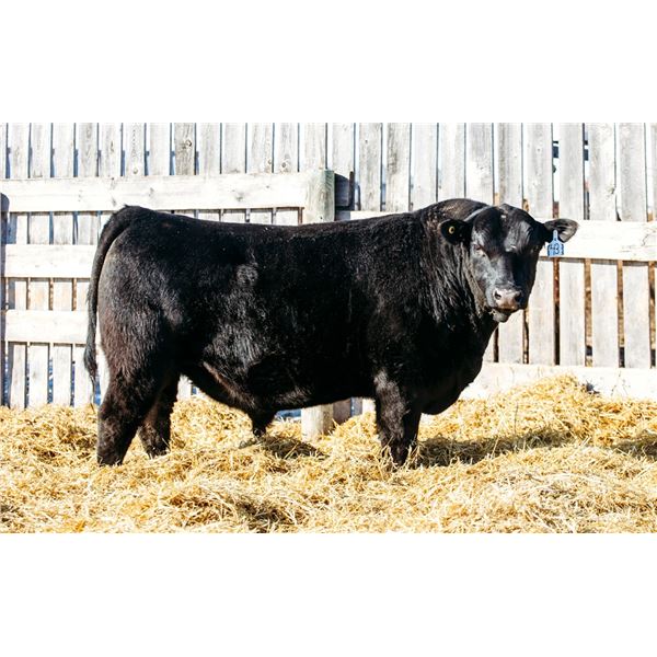 MCRAE’S RENOVATION 3069L - OUT