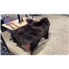 Image 2 : AUTHENTIC BROWN BEAR SKIN RUG 5'4"L TO NOSE X 5'W ARM TO ARM