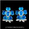 Image 1 : Natural Ethopian Blue Opal Earrings