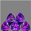 Image 1 : Natural Purple Amethyst 5 Pcs {Flawless-VVS}