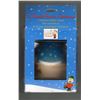 Image 3 : UNOPENED IN THE BOX Hallmark 40th Anniversary "A Charlie Brown Christmas" Holiday Tree Ornament