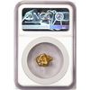 Image 2 : 8.21 Gram Yukon Gold Nugget NGC Graded