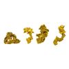 Image 2 : Lot of Mexico Gold Nuggets 2.64 Grams Total Weight