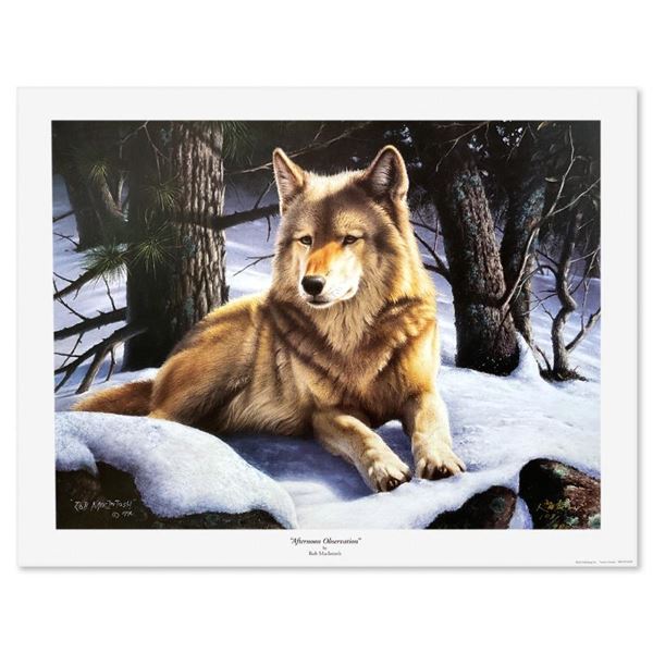 Afternoon Observations by MacIntosh, Rob