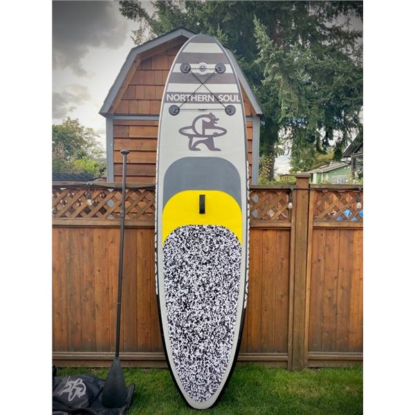 New Northern Soul Boardworks 'Aurora' Paddle Board Cat A