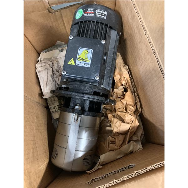 WALRUS ELECTRIC MOTOR