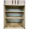 Image 2 : 2 DOOR METAL STORAGE CABINET -36" ACROSS X 20" WIDE X 42" HIGH